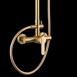 Barra de ducha monomando serie ROMA acabado oro cepillado - Imagen 2